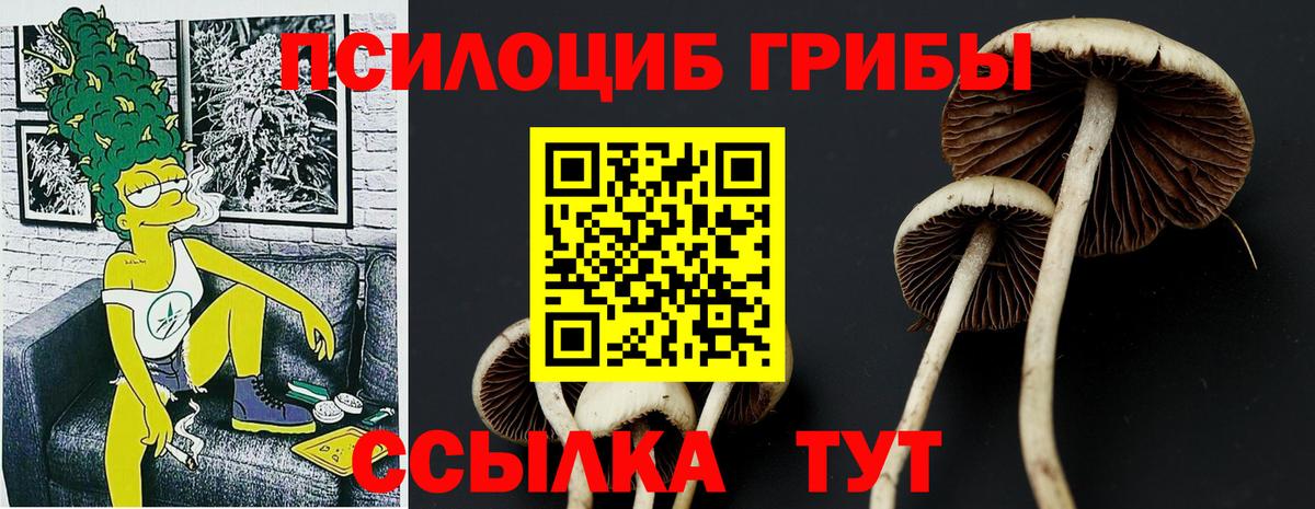 Галлюциногенные грибы Psilocybine cubensis  Вход с VPN  Псилоцибиновые грибы Psilocybe  Городец 